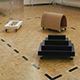 24_hunde