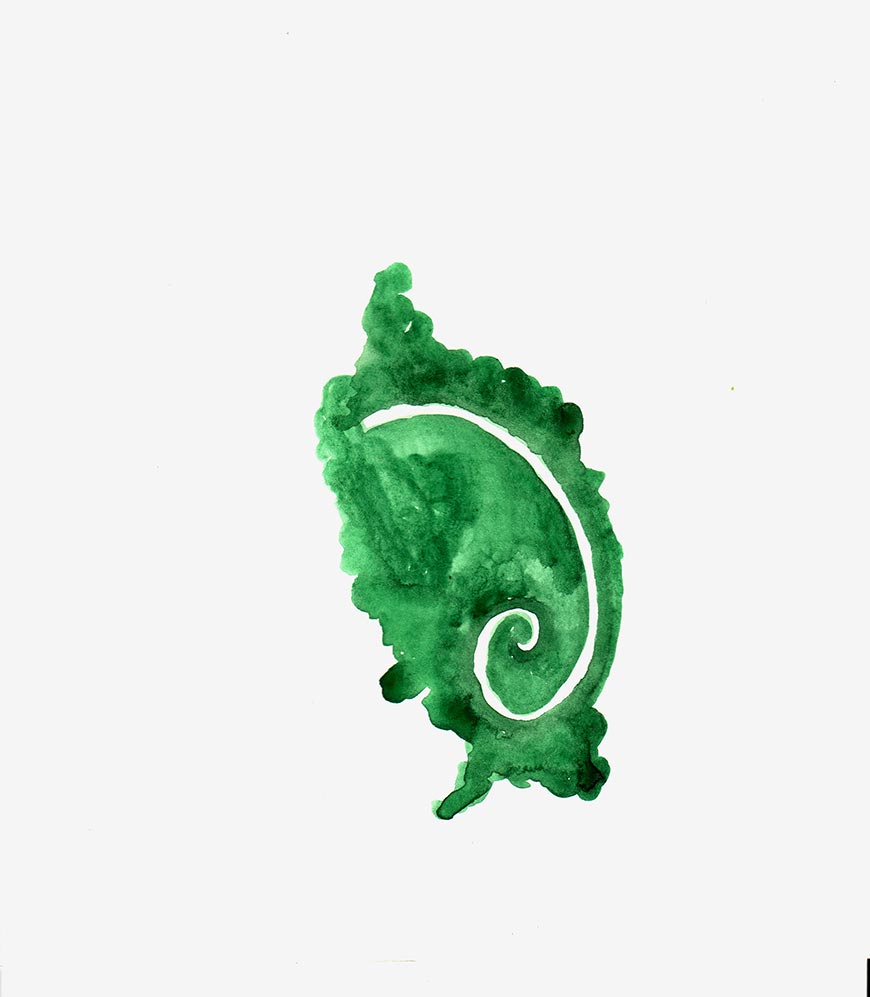 Volute