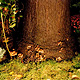 02_nach_england